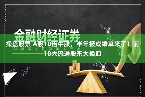 操盘股票 A股10倍牛股，半年报成绩单来了！前10大流通股东大换血