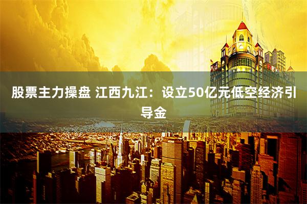 股票主力操盘 江西九江：设立50亿元低空经济引导金