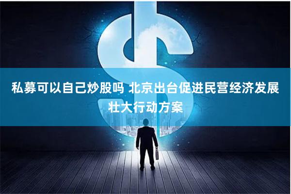 私募可以自己炒股吗 北京出台促进民营经济发展壮大行动方案